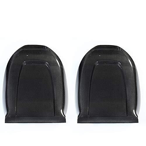 Model 3/Y DRY Carbon Fiber Back Seat Cover